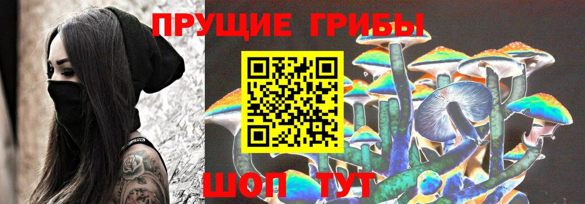 Псилоцибиновые грибы Psilocybe Махачкала