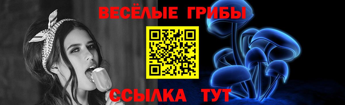 Галлюциногенные грибы Psilocybe  Вход с VPN  Псилоцибиновые грибы MAGIC MUSHROOMS  Махачкала 
